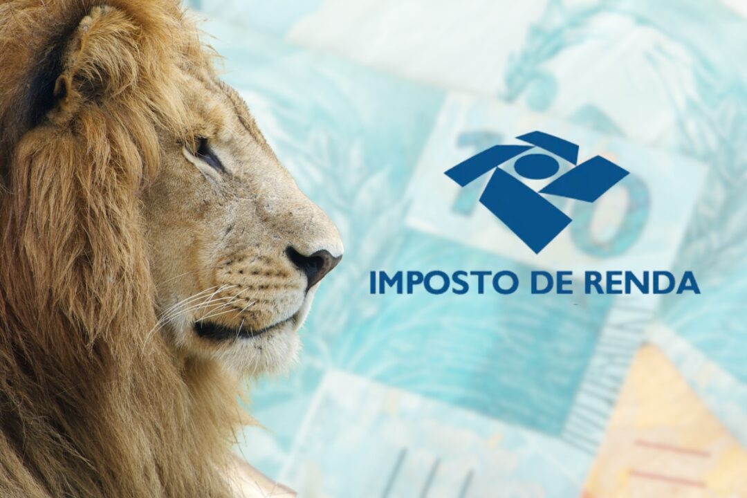 Imposto de Renda 2025: Está chegando a hora!